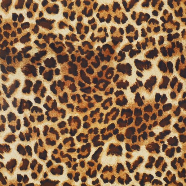 Lycra Fantasia Animalier Maculato SGV Disegno B