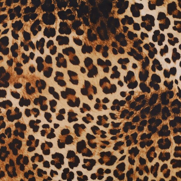 Lycra Fantasia Animalier Maculato SGV Disegno D