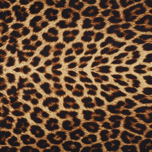 Lycra Fantasia Animalier Maculato SGV Disegno E