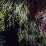 Tessuto Pelliccia Sintetica - al Metro - Mongolia Maltinto