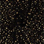 Maglia Elastica Lurex con Paillettes Stella - Nero Paillettes Oro