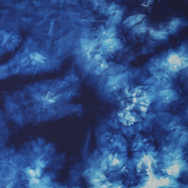 Lycra Fantasia SGV Carnival - Maltinto Royal