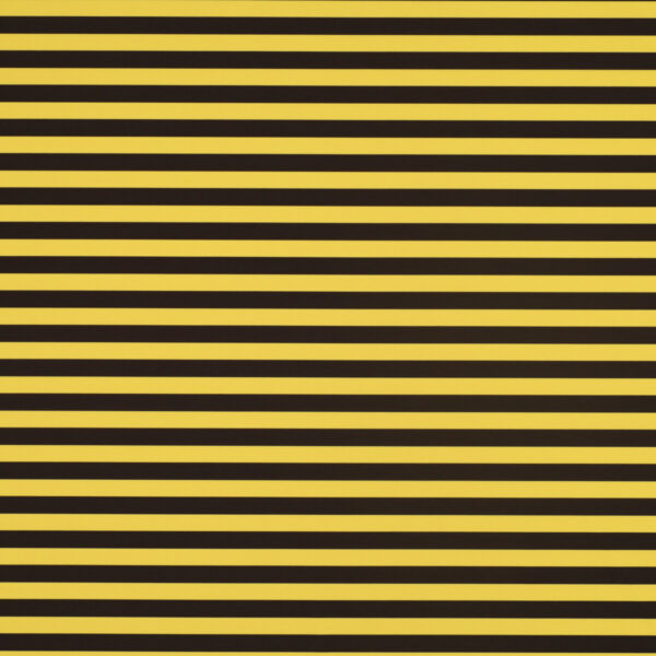 Lycra Fantasia SGV Carnival - Riga Orizzontale Piccola Fondo Giallo Riga Nera